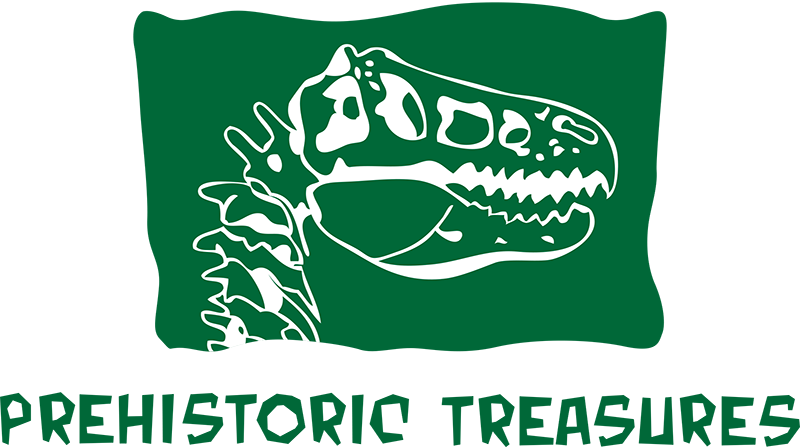 Skull (800x447), Png Download