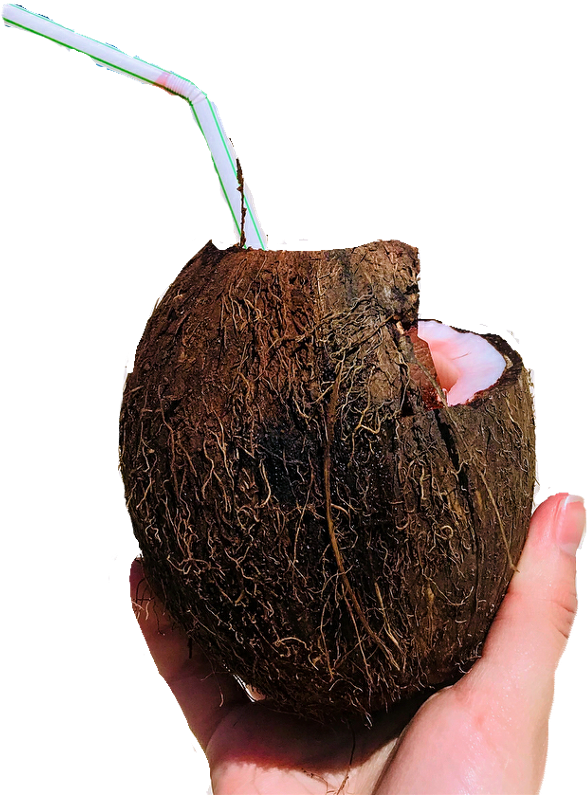 Report Abuse - Avocado (1024x1257), Png Download