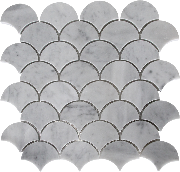 Illustration (800x800), Png Download