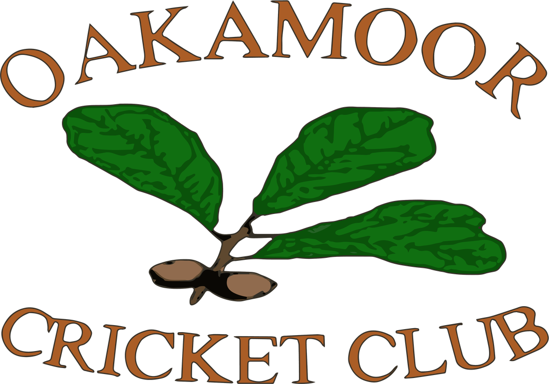 Ladies Softball (1100x770), Png Download