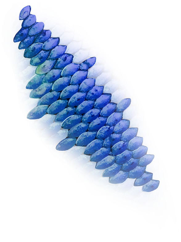 Must Follow N Share - Balloon (1600x900), Png Download