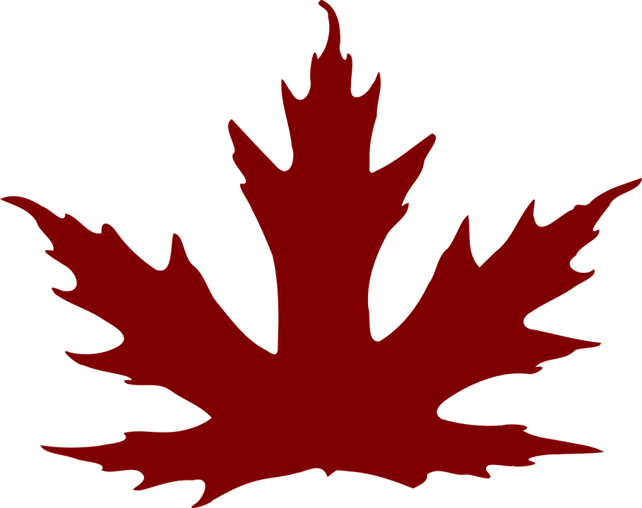 Maple Leaf Clipart Brown - Maple Leaves Laser Cut Pattern Png Vector (909x720), Png Download