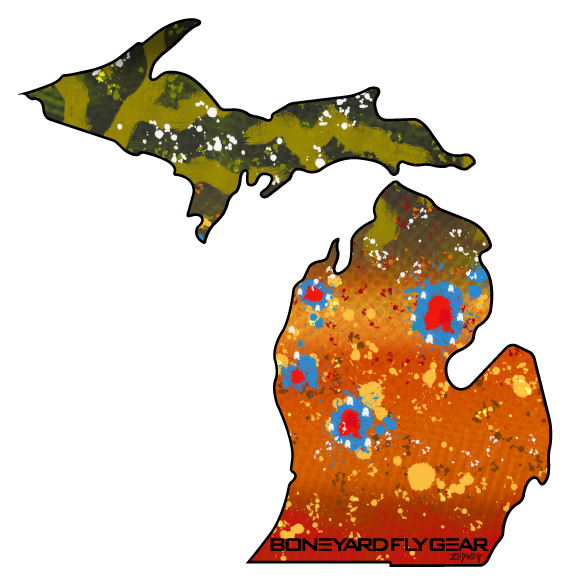 Michigan Brook Trout - Michigan Map With Capital (588x600), Png Download