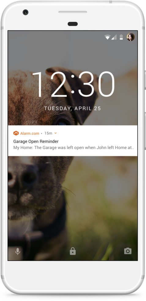 Access Control For Your Home - Meerkat (579x1024), Png Download