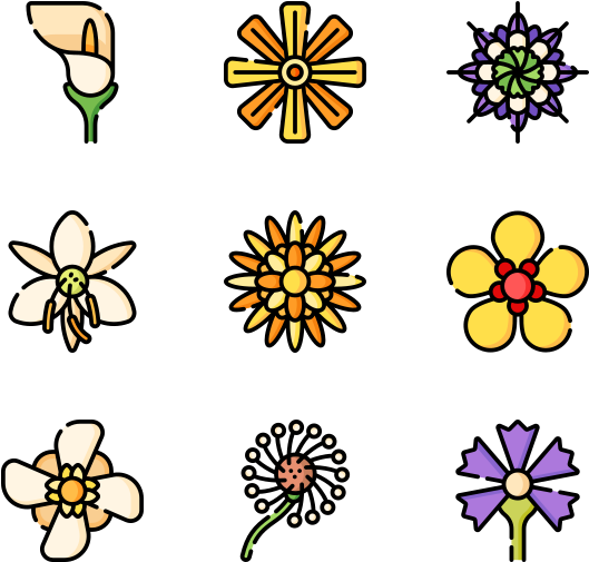 Flowers (600x564), Png Download