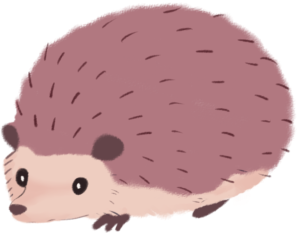 Download Png Image Report - Clipart Hedgehog Transparent Background (619x619), Png Download