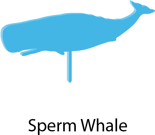 Sea Creatures Cake Toppers - Whale (594x594), Png Download