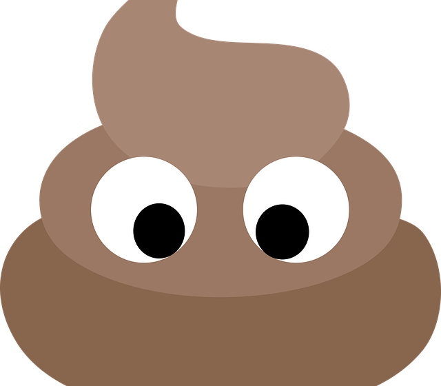 Gifting With Poop Emojis - Funny C Diff (640x560), Png Download