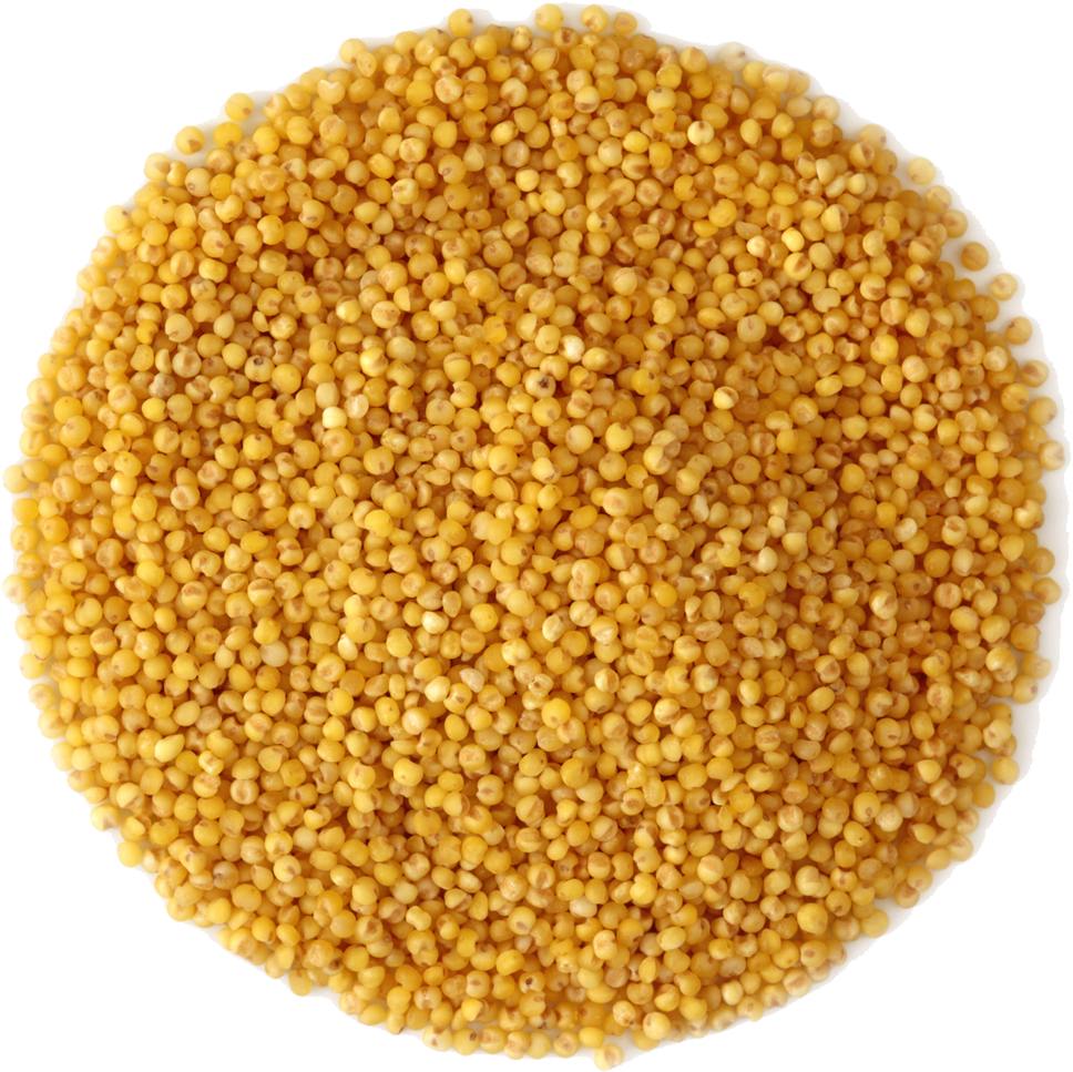 Small Pile Of Grain - Rapeseed (1019x1052), Png Download