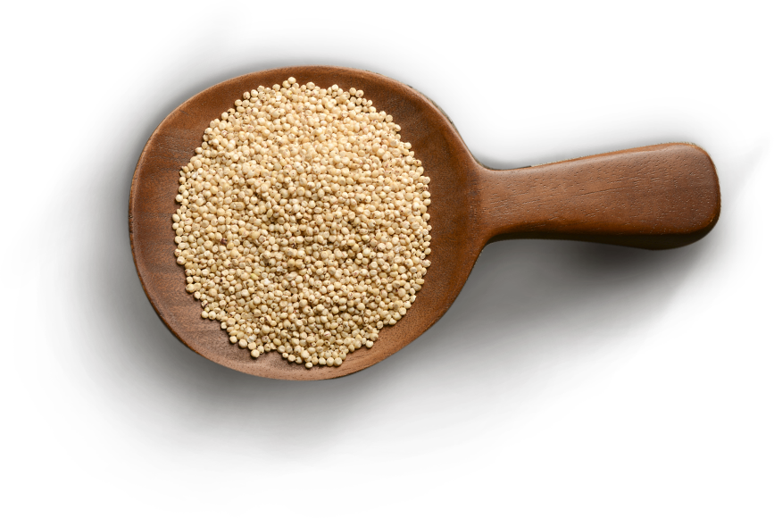 Protein Provides The Building Blocks For Bone, Muscle, - Pulse (867x580), Png Download