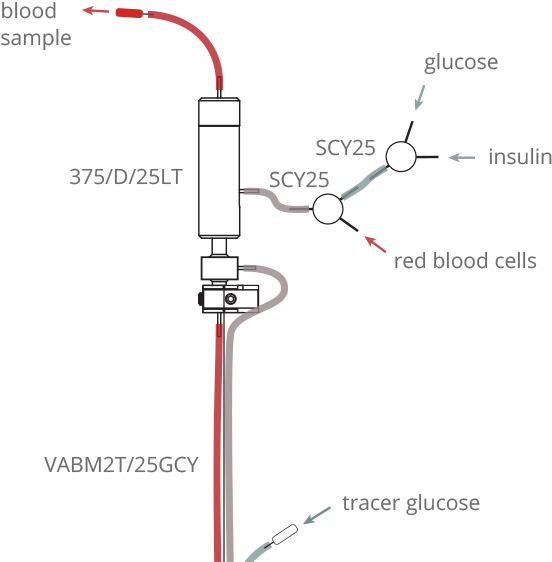 Mouse Hyperinsulinemic - Euglycemic Clamp - Diagram (570x570), Png Download