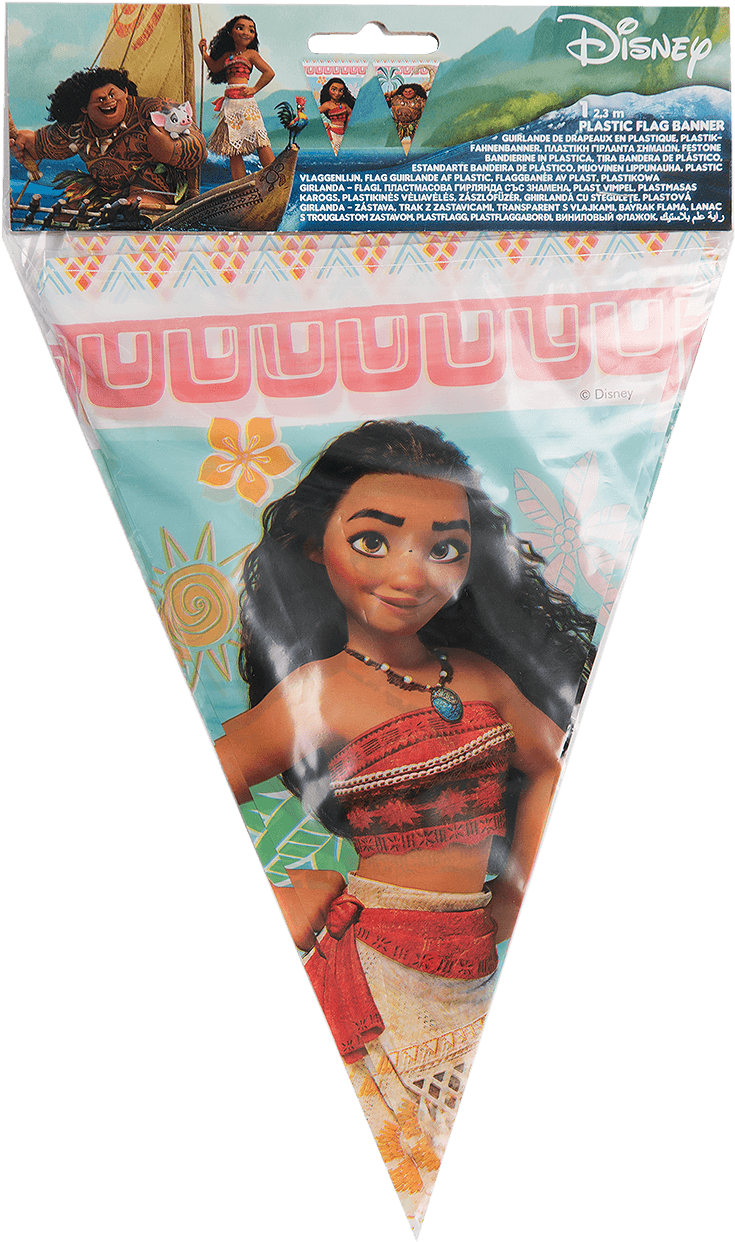 Moana Bunting - Banner (1400x1400), Png Download