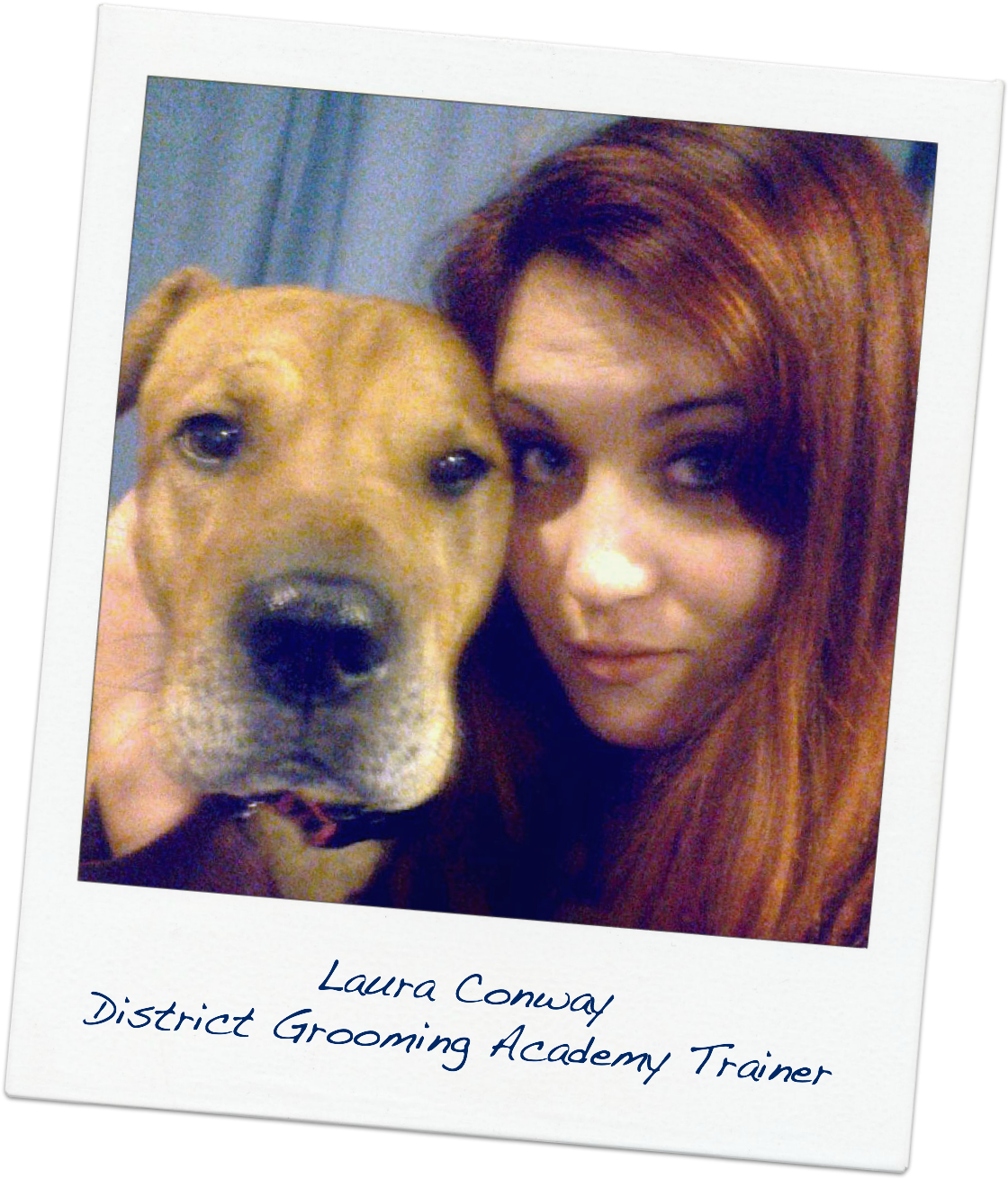 Laura Conway, District Academy Trainer - Companion Dog (1132x1322), Png Download