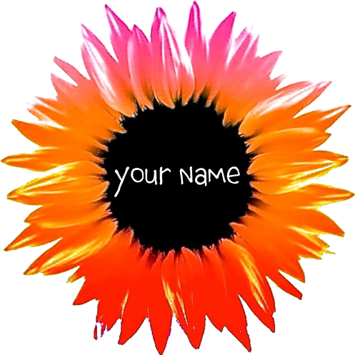 Pink-orange Flower Banner - Black-eyed Susan (700x700), Png Download