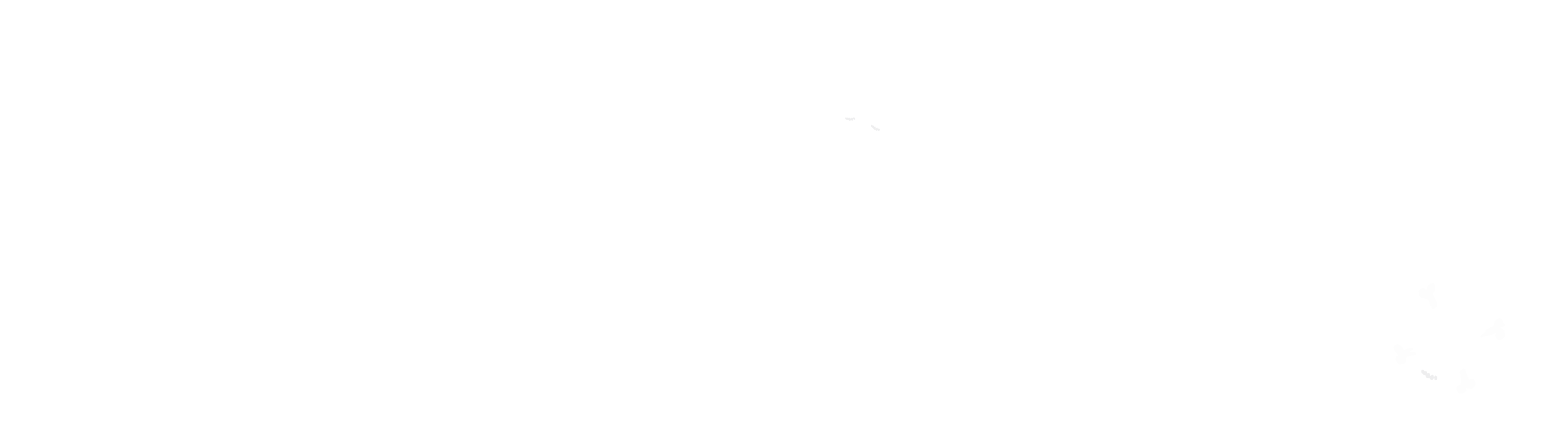 Logotipo En Color Blanco Sin Fondo (2964x810), Png Download