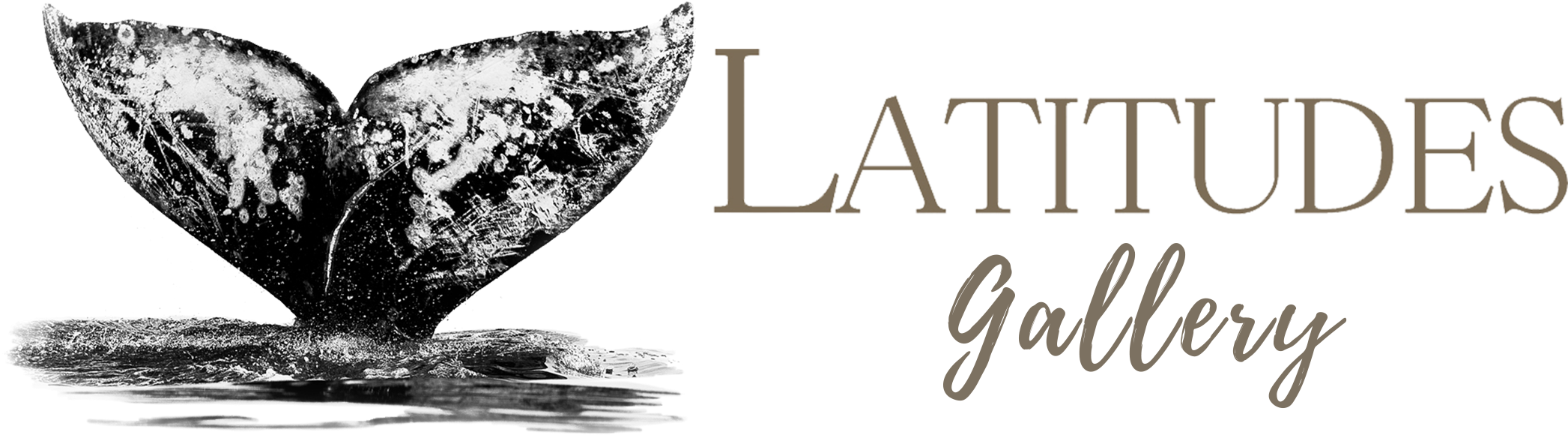Iztio6ojy7mdhxdgzxxn - Artsventura (2100x600), Png Download