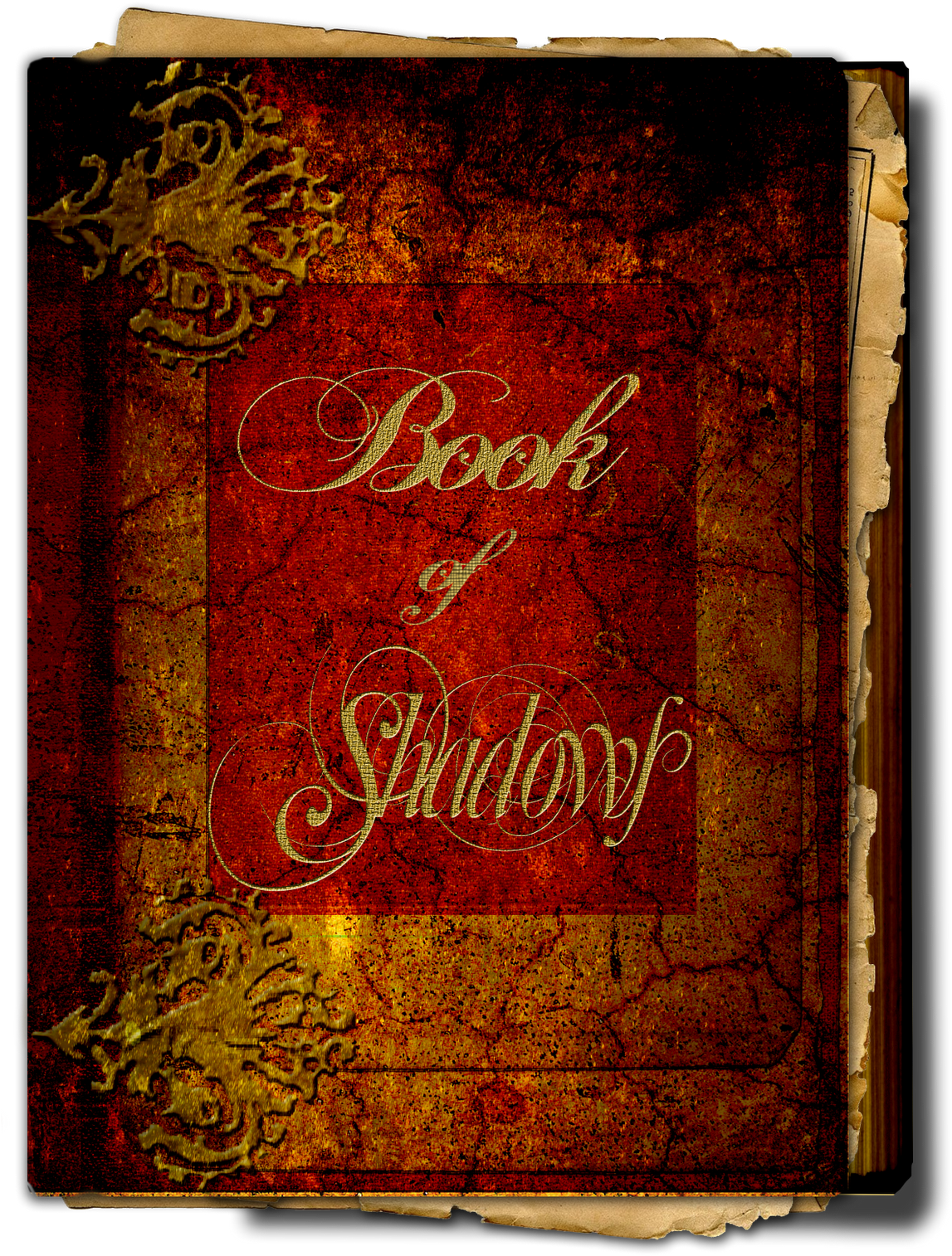 E - L - S - Studio A Jeweled Frog Creation - Practical - Sara (1164x1600), Png Download