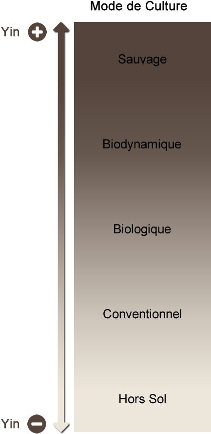 Ying Plus Minus - Tan (482x902), Png Download