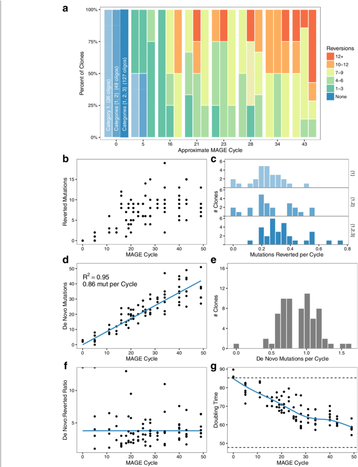 Mutation Dynamics Over Many Cycles Of Mage Allele Reversion - Graphic Design (850x956), Png Download