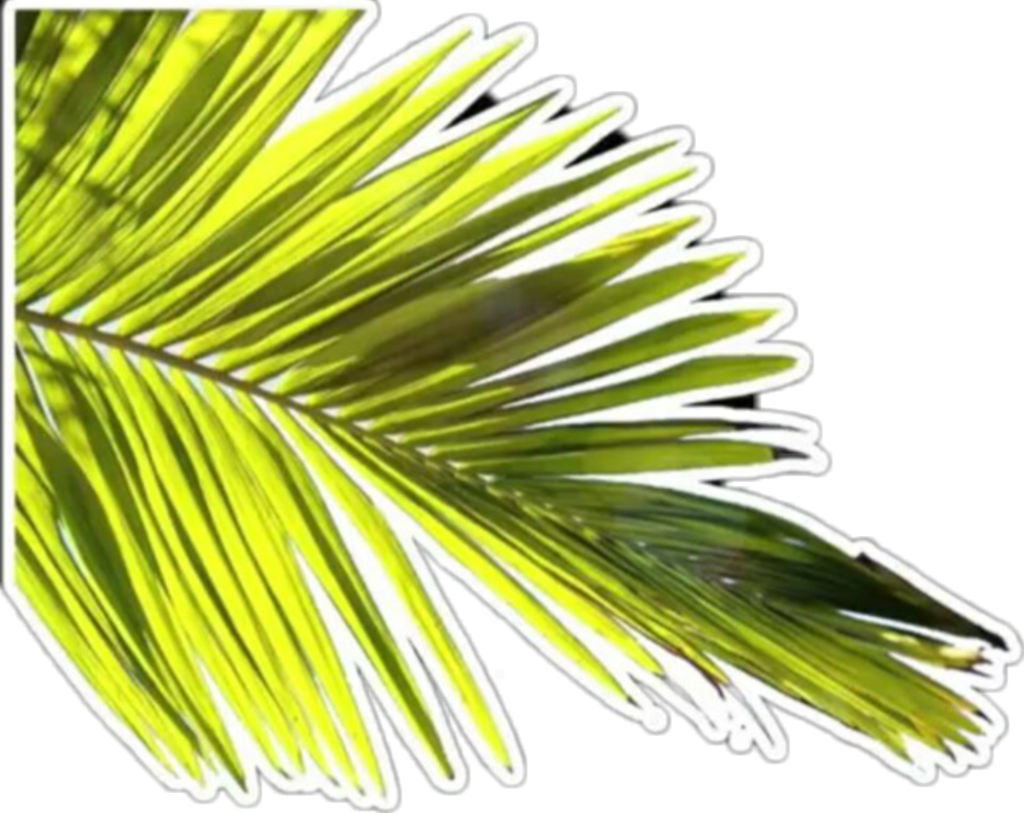 Overlay Hoja Planta Verde Ahre Sticker (1024x813), Png Download