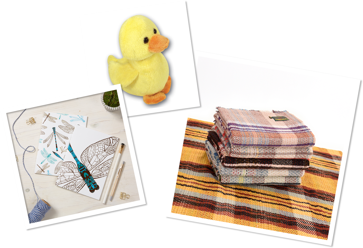 Shop Polaroids - Bath Toy (1360x938), Png Download