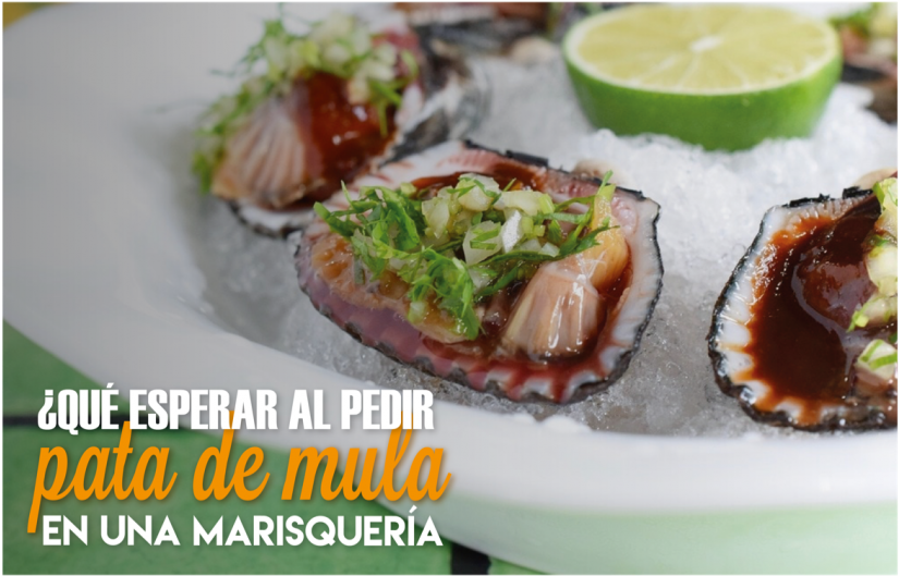 ¿qué Esperar Al Pedir Pata De Mula En Una Marisquería - Lemon (900x596), Png Download