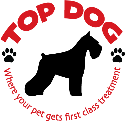 Top Dog - Standard Schnauzer (612x519), Png Download