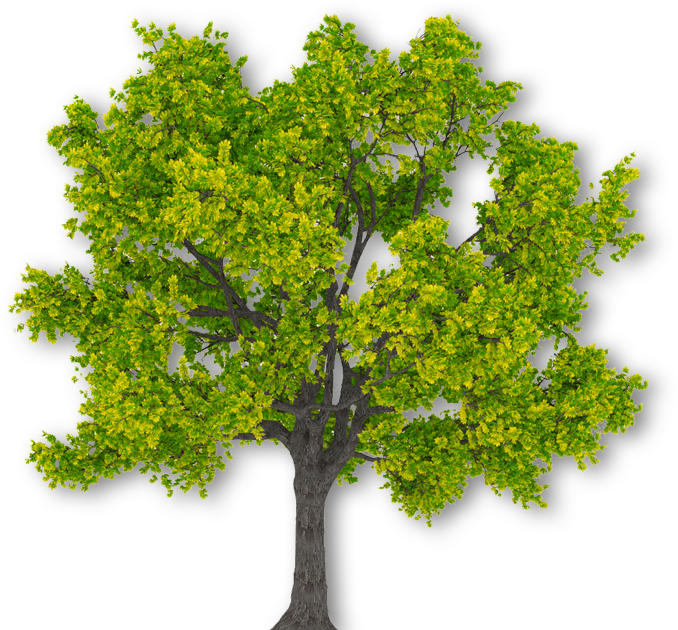 Building Wealth - Plane (678x630), Png Download