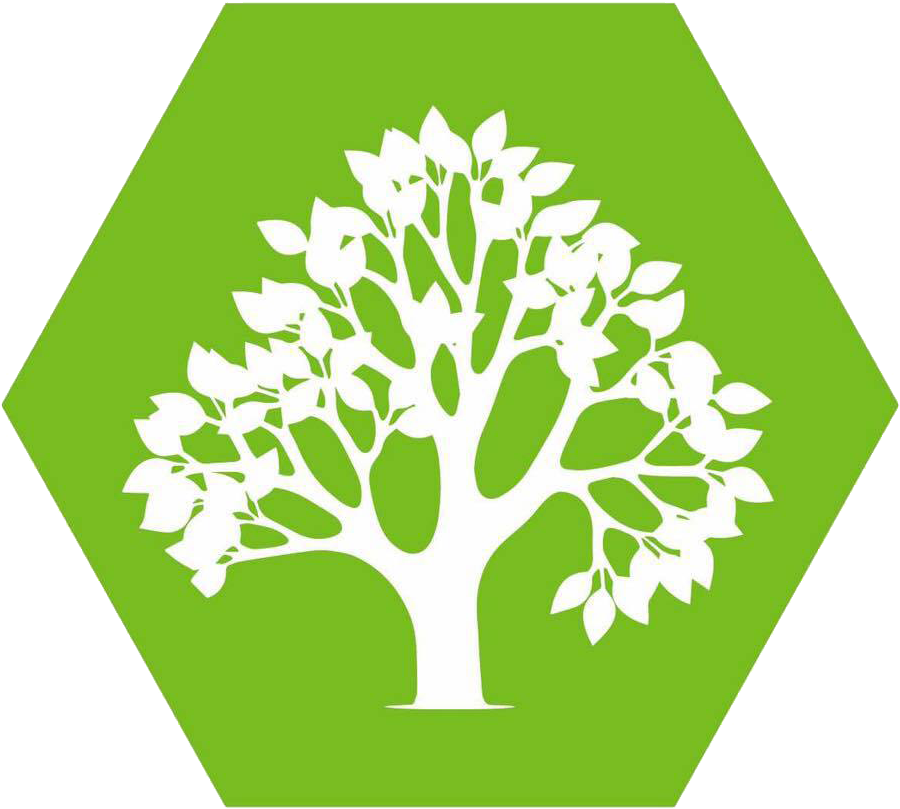 Stage Clipart Tree Development - Illustration (960x960), Png Download