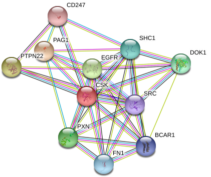 Circle (975x391), Png Download