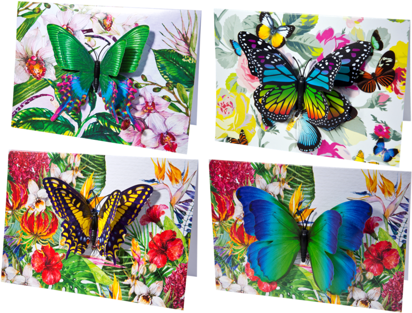 Papilio Machaon (1024x708), Png Download