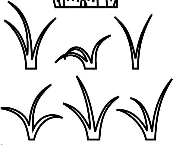 Seaweed Clipart Gress - Lines Like Grass (640x480), Png Download