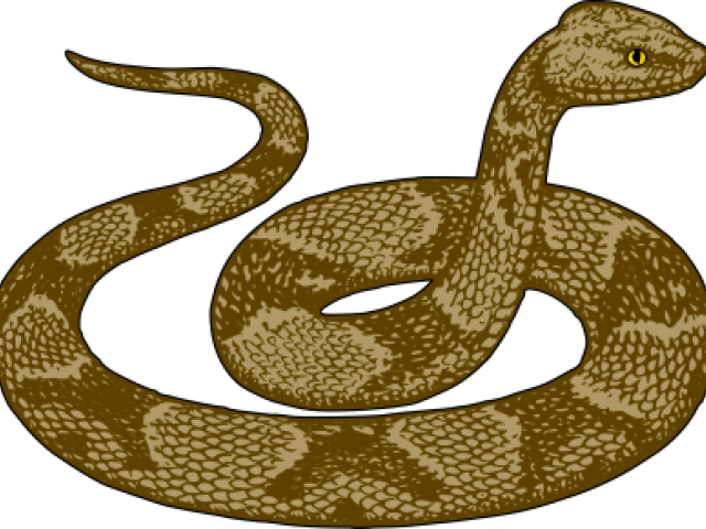 Smooth Green Snake Clipart Diary - Hình Ảnh Con Trăn (640x480), Png Download
