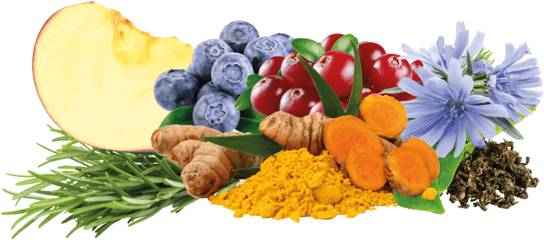 Carefully Selected Dried Fruit And Vegetables Provide - Natural Foods (800x400), Png Download