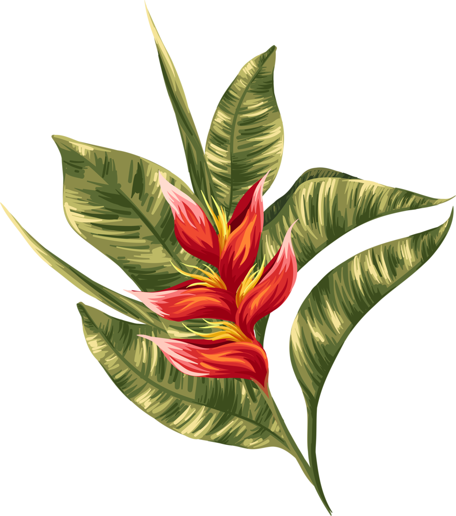 Tropical - Painting (904x1024), Png Download