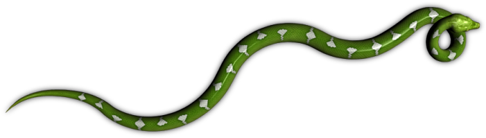 54 65k Python Tree Lrk E 05 Feb 2009 - Common Kingsnake (750x430), Png Download