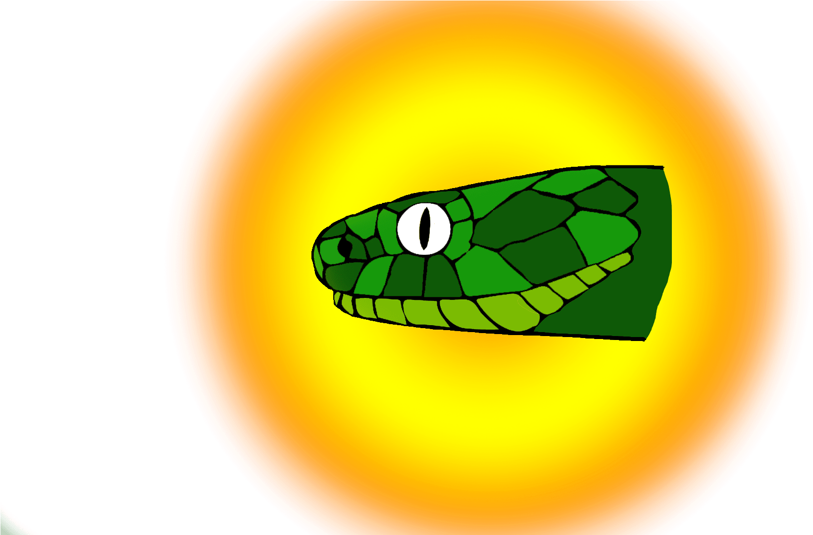 Snake - Western Green Mamba (1920x1080), Png Download