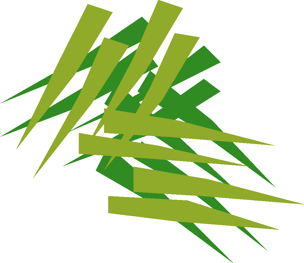 Grass (1034x893), Png Download