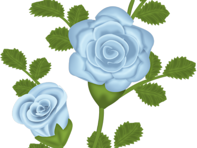 Drawn Red Rose Guldasta - Purple Roses Clipart Transparent Background Png (640x480), Png Download