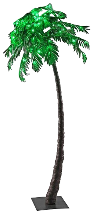 Palm Tree Transparent Background Png - Borassus Flabellifer (720x720), Png Download