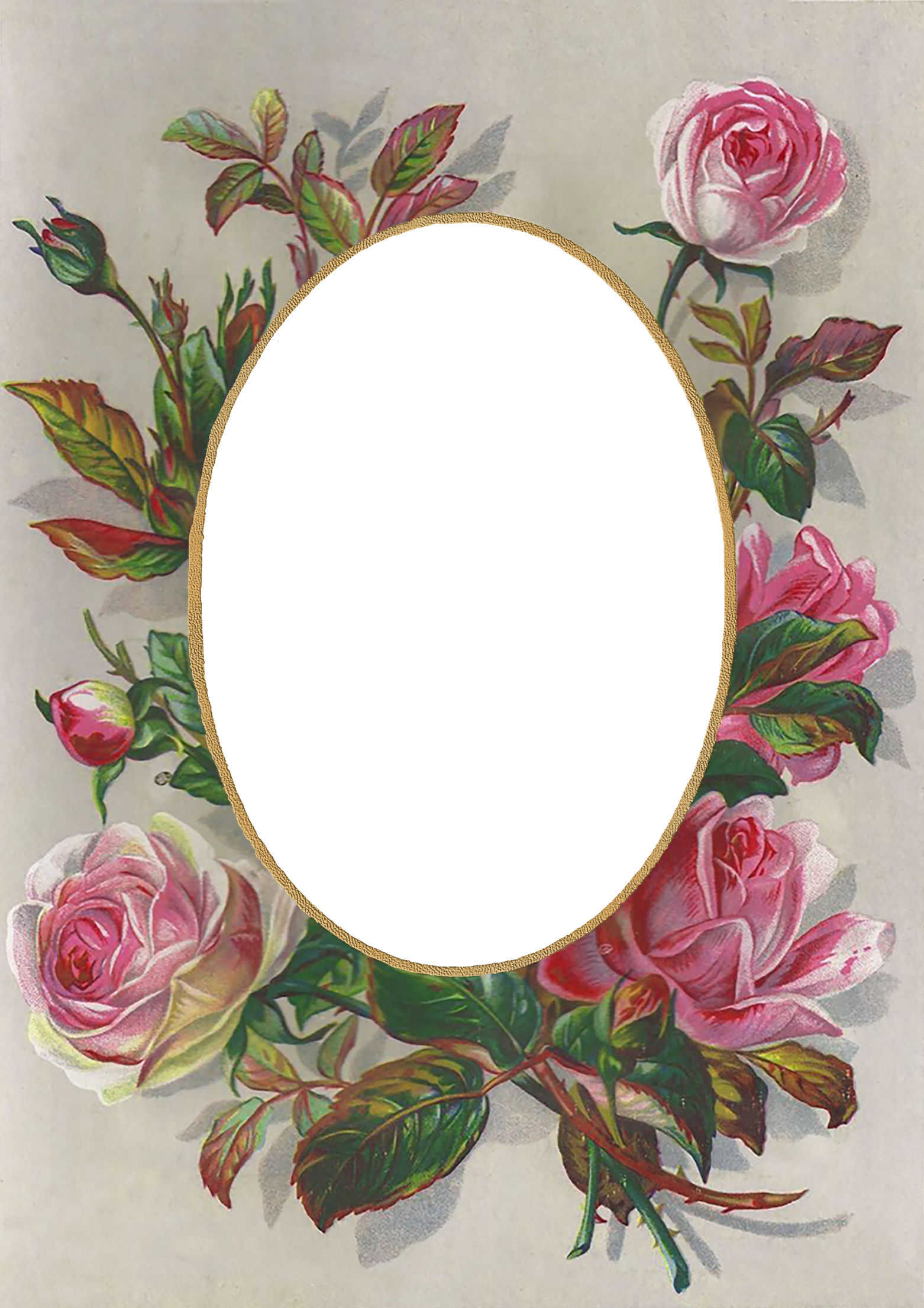 Vintage Frames, Vintage Cards, Vintage Ephemera, Frame - Victorian Roses Frame (1562x2210), Png Download