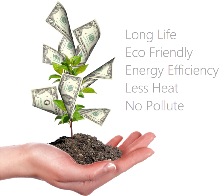 Energy Solutions Facts - Dinheiro Da Em Arvore (800x838), Png Download