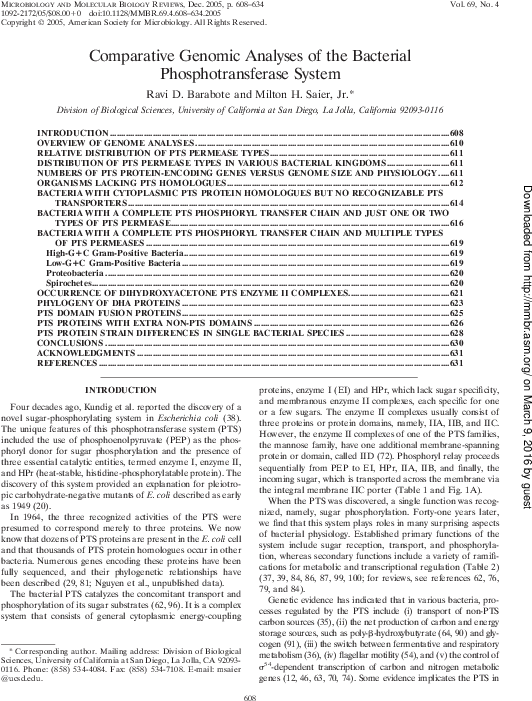 Pdf - Protest Tegen Langdurige Opsluiting Van De Remonstrantse (585x783), Png Download
