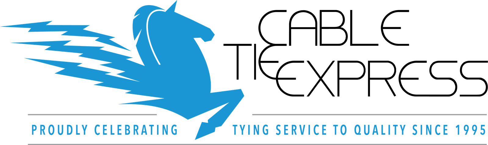 Cable Tie Express, Inc - Cable Tie Express (1600x476), Png Download