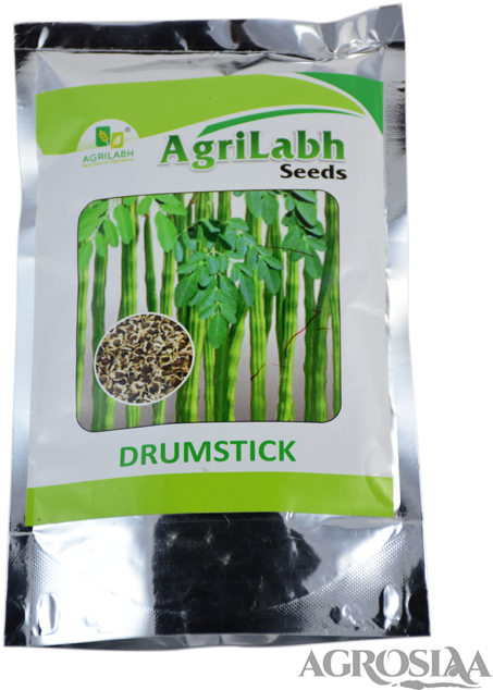 Agrilabh - Drumstick Vegetable (480x640), Png Download
