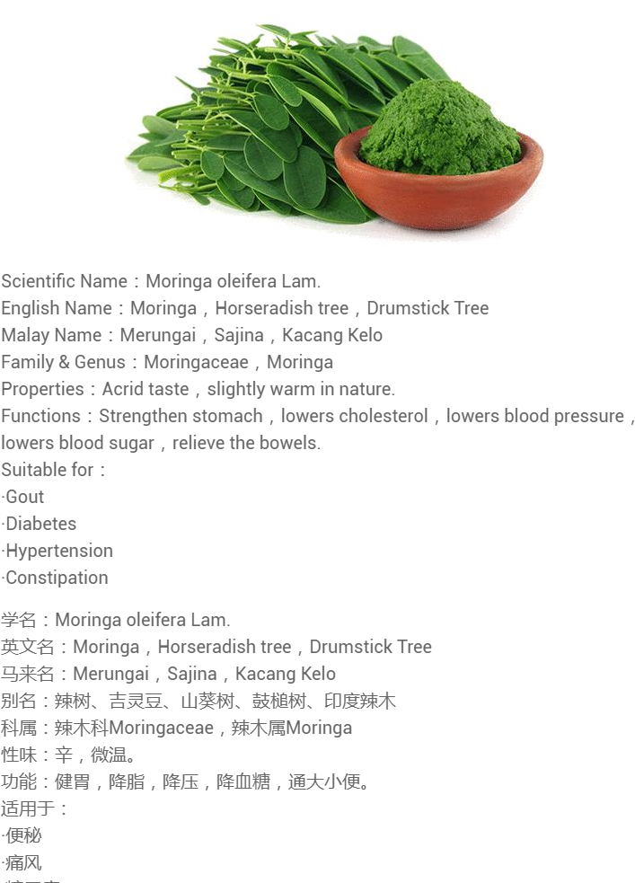 13 X Tea Bags - Moringa Poudre (750x1000), Png Download