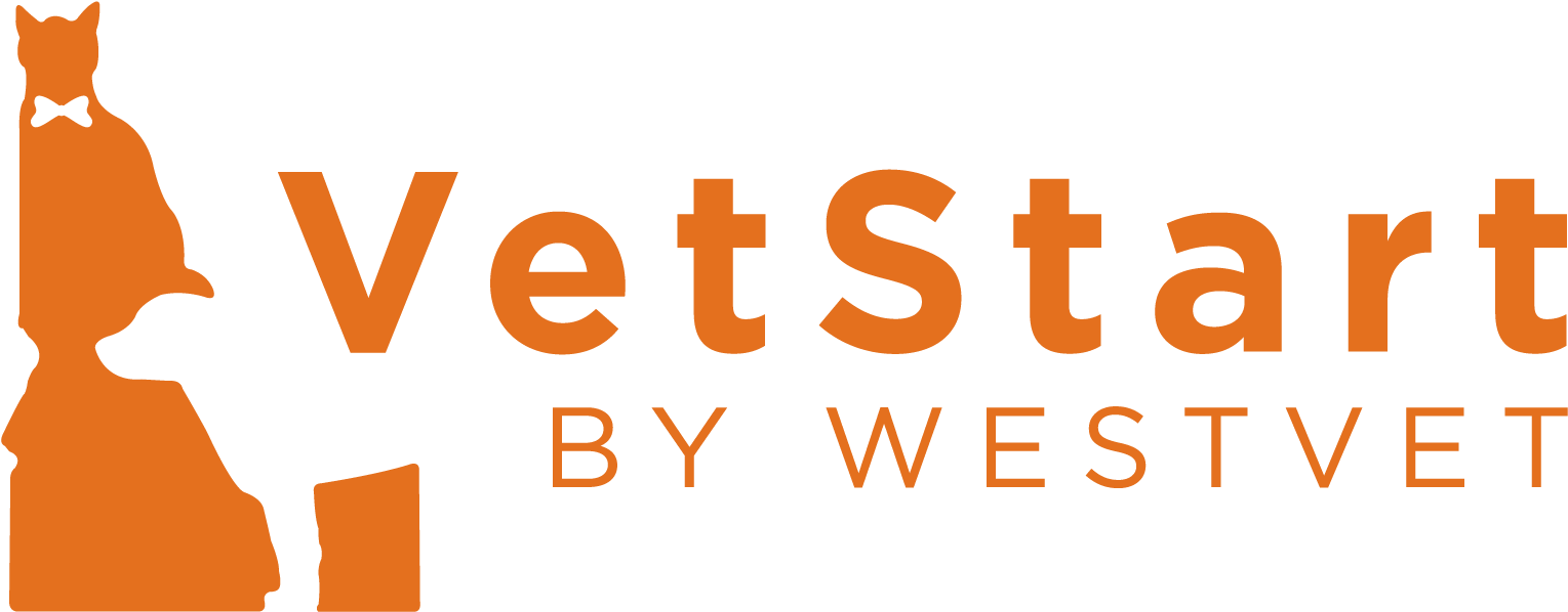 Westvet Veterinarian Hospital Services - Liveperson Logo Png (1550x700), Png Download