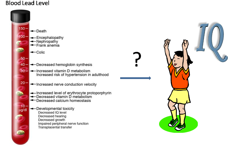Assume That In Our Study We Identify Whether Each Child - Lead Poisoning In Children (800x524), Png Download