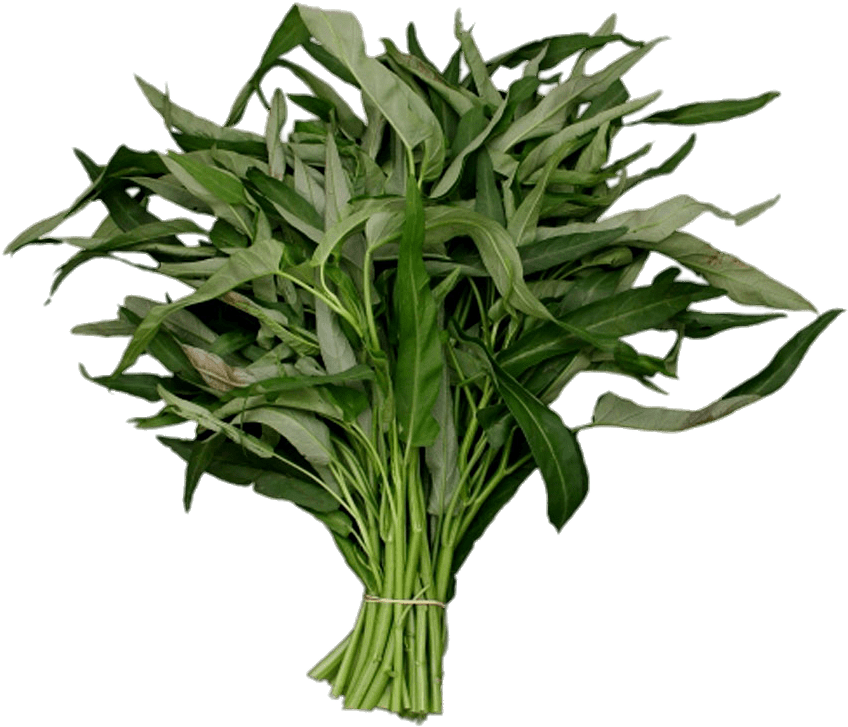 Download - Kang Kong (888x740), Png Download