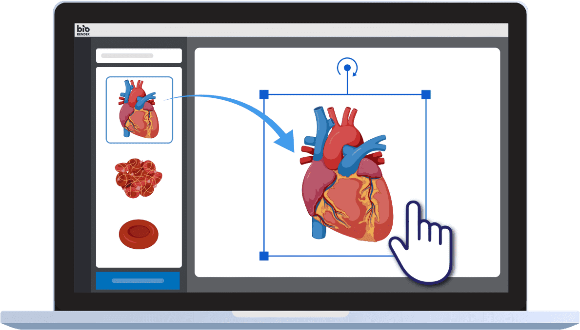 Drag And Drop Science Icons To Create Science Figures - Slam Dunk (1200x1015), Png Download